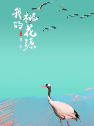 我的桃花源第三季 第1期