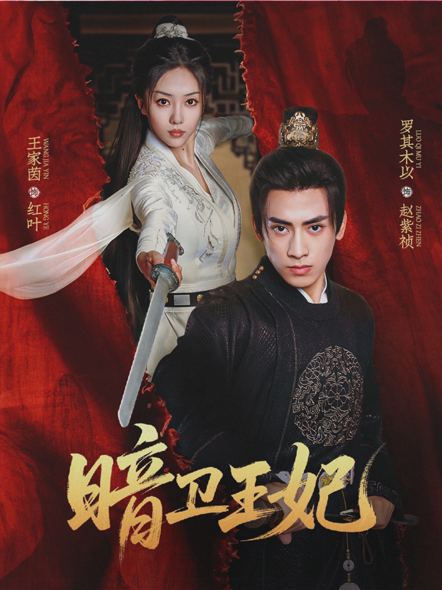 暗卫王妃 第17集
