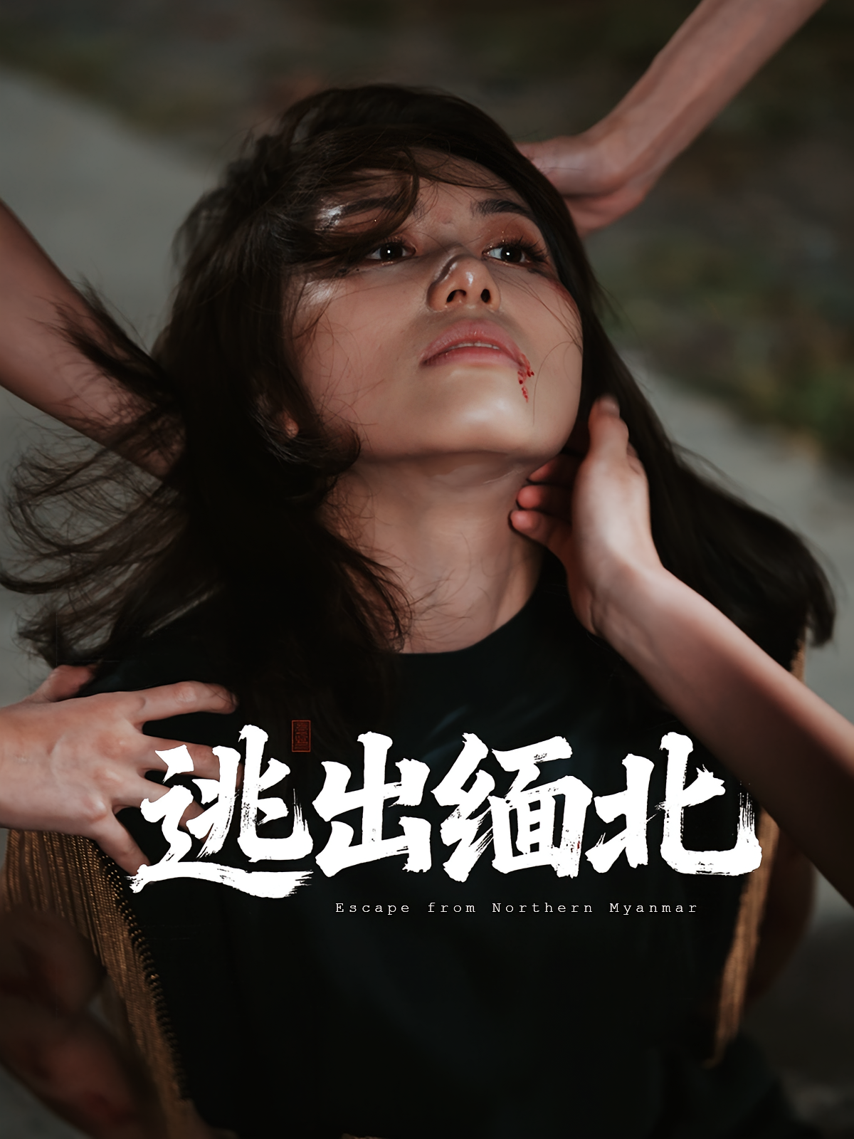 逃出缅北 第41集