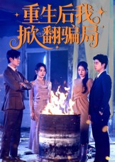 重生后我掀翻骗局 第33集