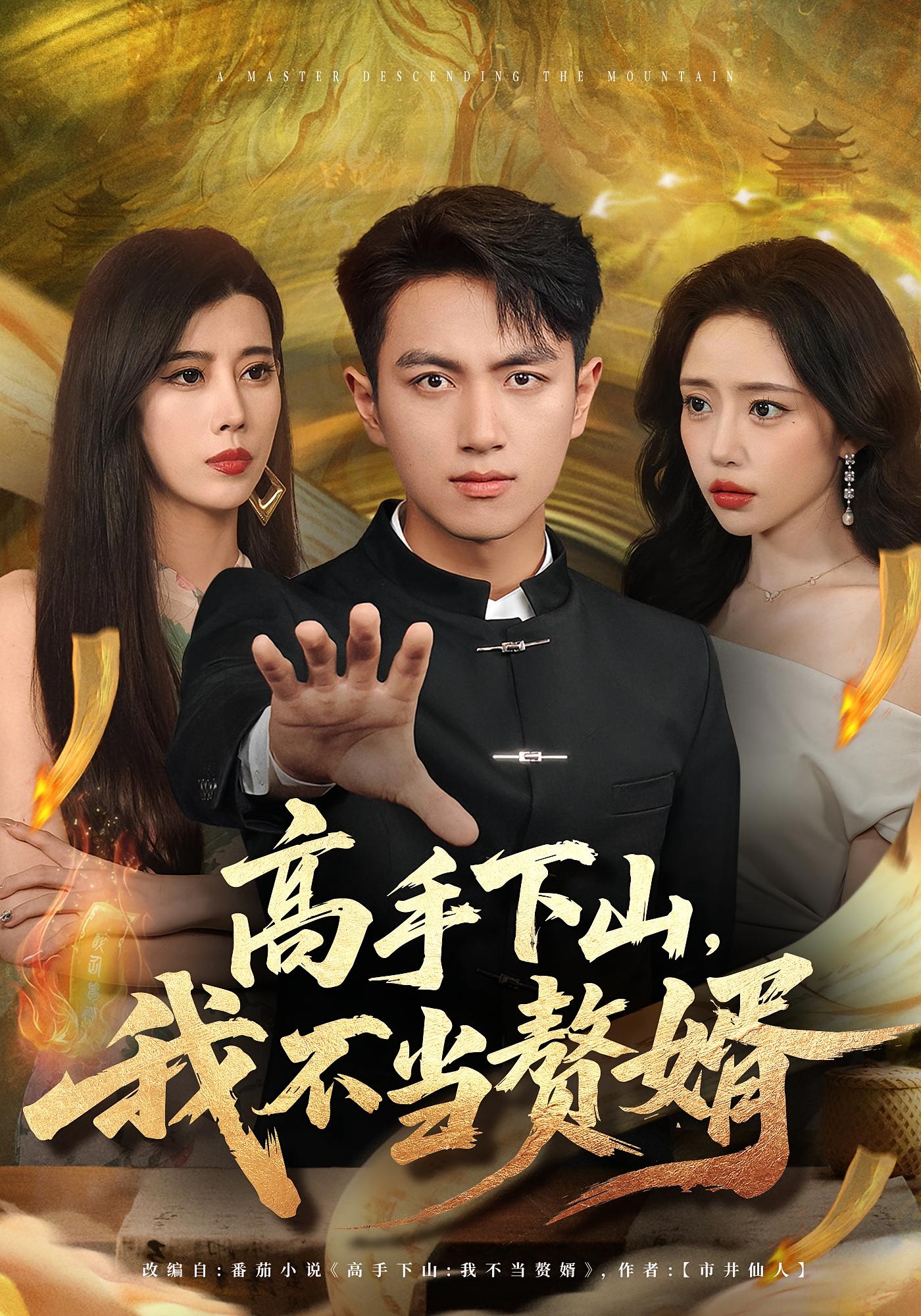 高手下山我不当赘婿 第21集