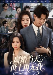 离婚当天世上再无我 第01集
