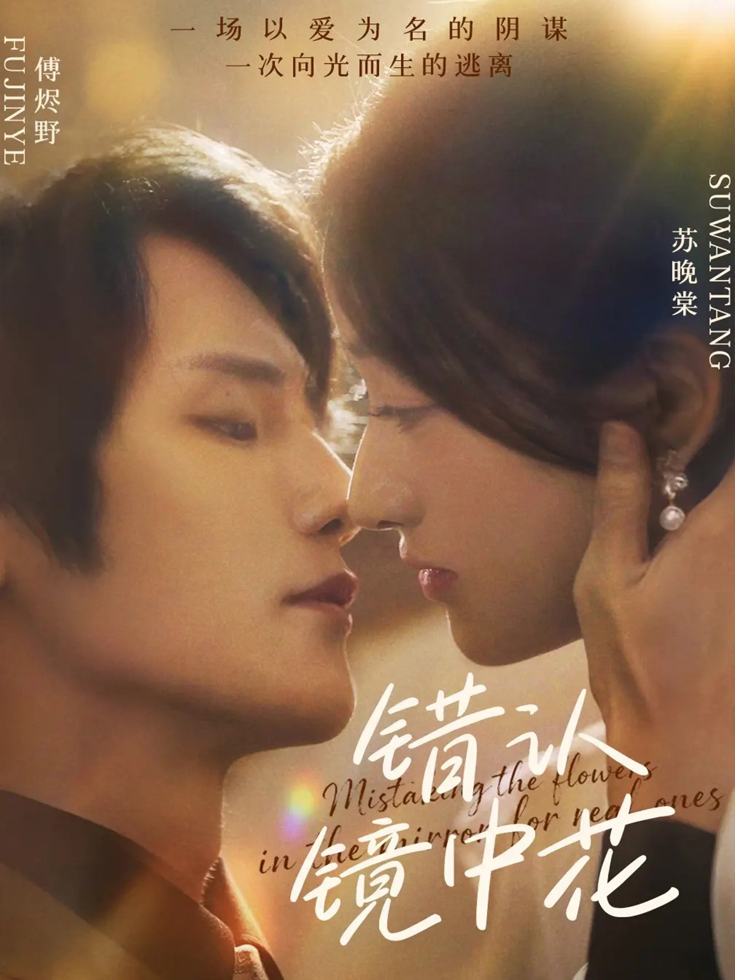 错认镜中花 第18集