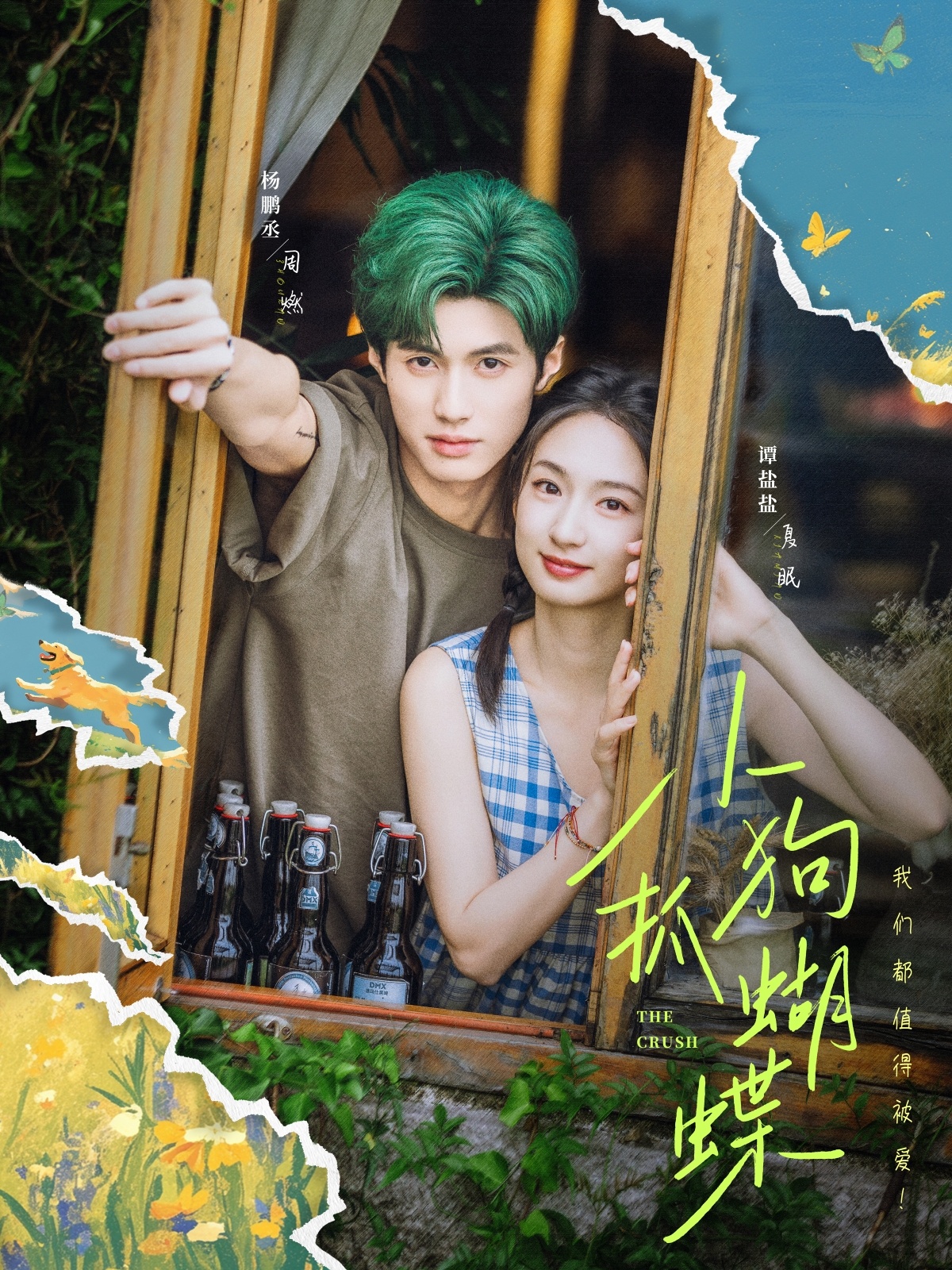 小狗抓蝴蝶(全集)