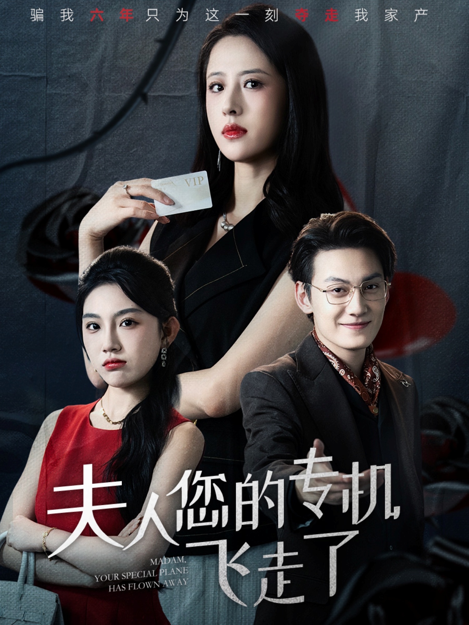 夫人您的专机飞走了 第14集