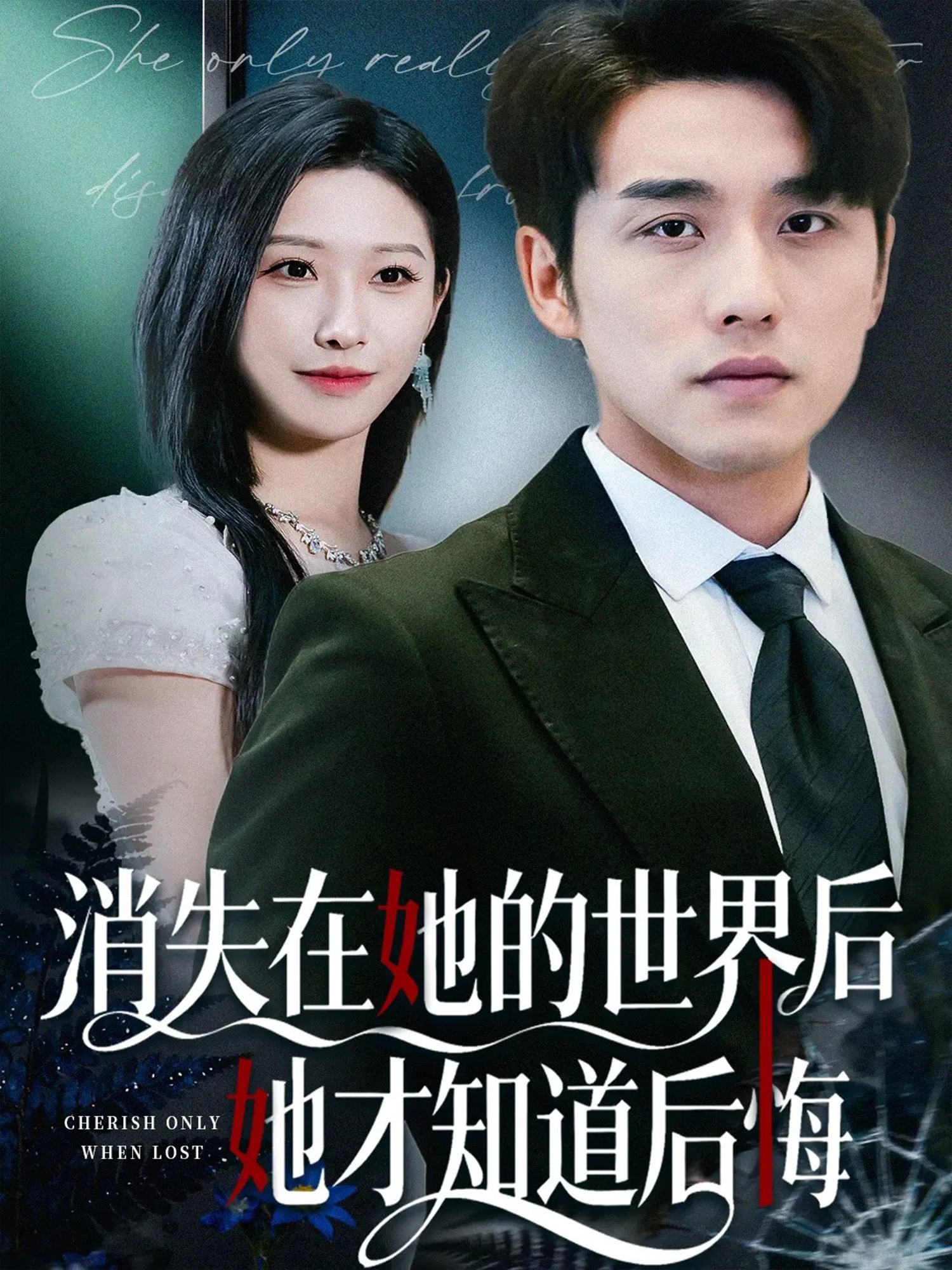 消失在她的世界后她才知道后悔 第05集