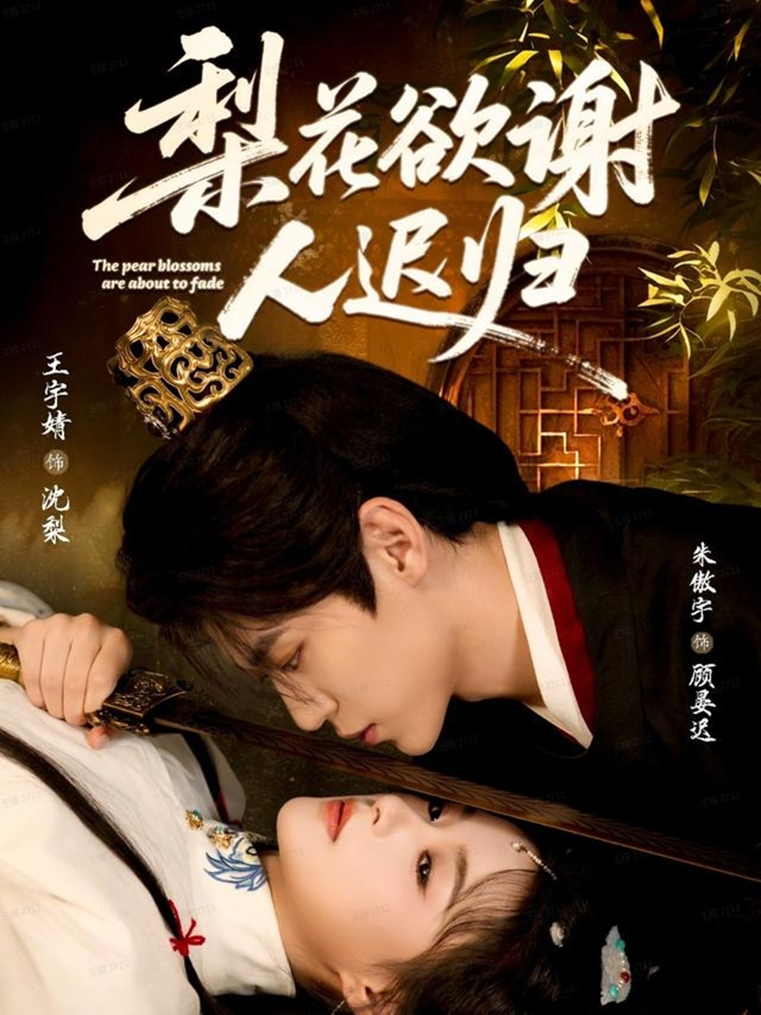 梨花欲谢人迟归 第48集