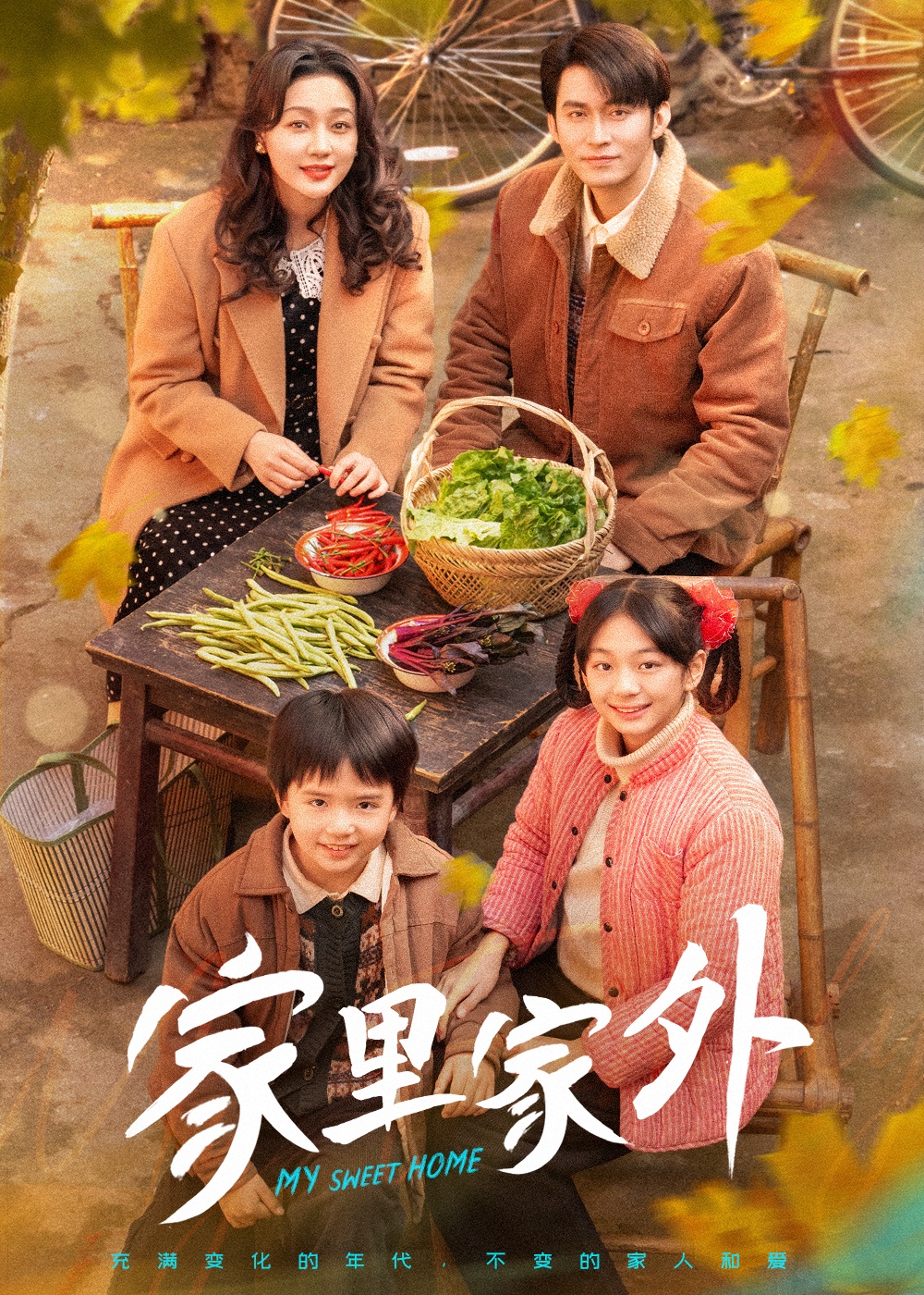 家里家外第一季 第45集