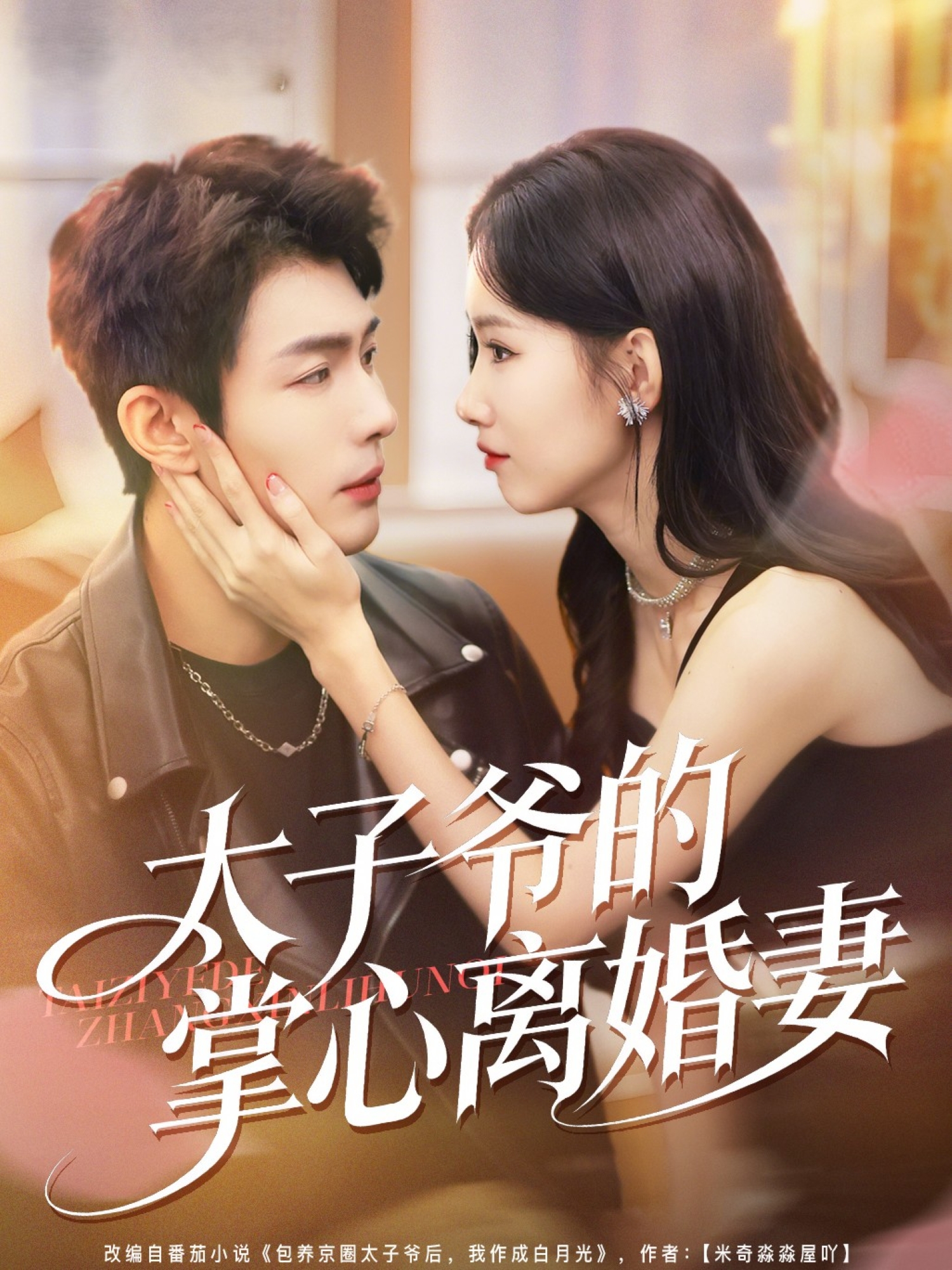太子爷的掌心离婚妻 第04集