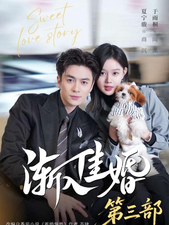 渐入佳婚3 第50集