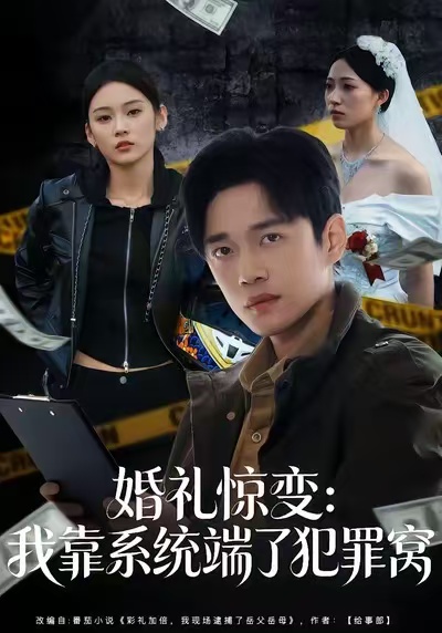 婚礼惊变：我靠系统端了犯罪窝 第10集