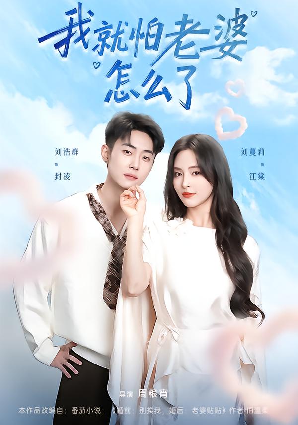 我就怕老婆怎么了 第47集