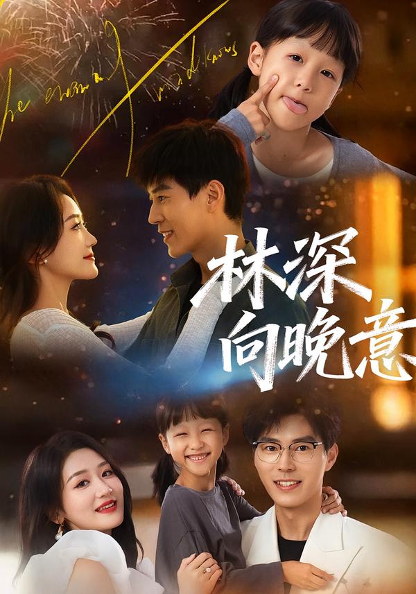 林深向晚意 第33集