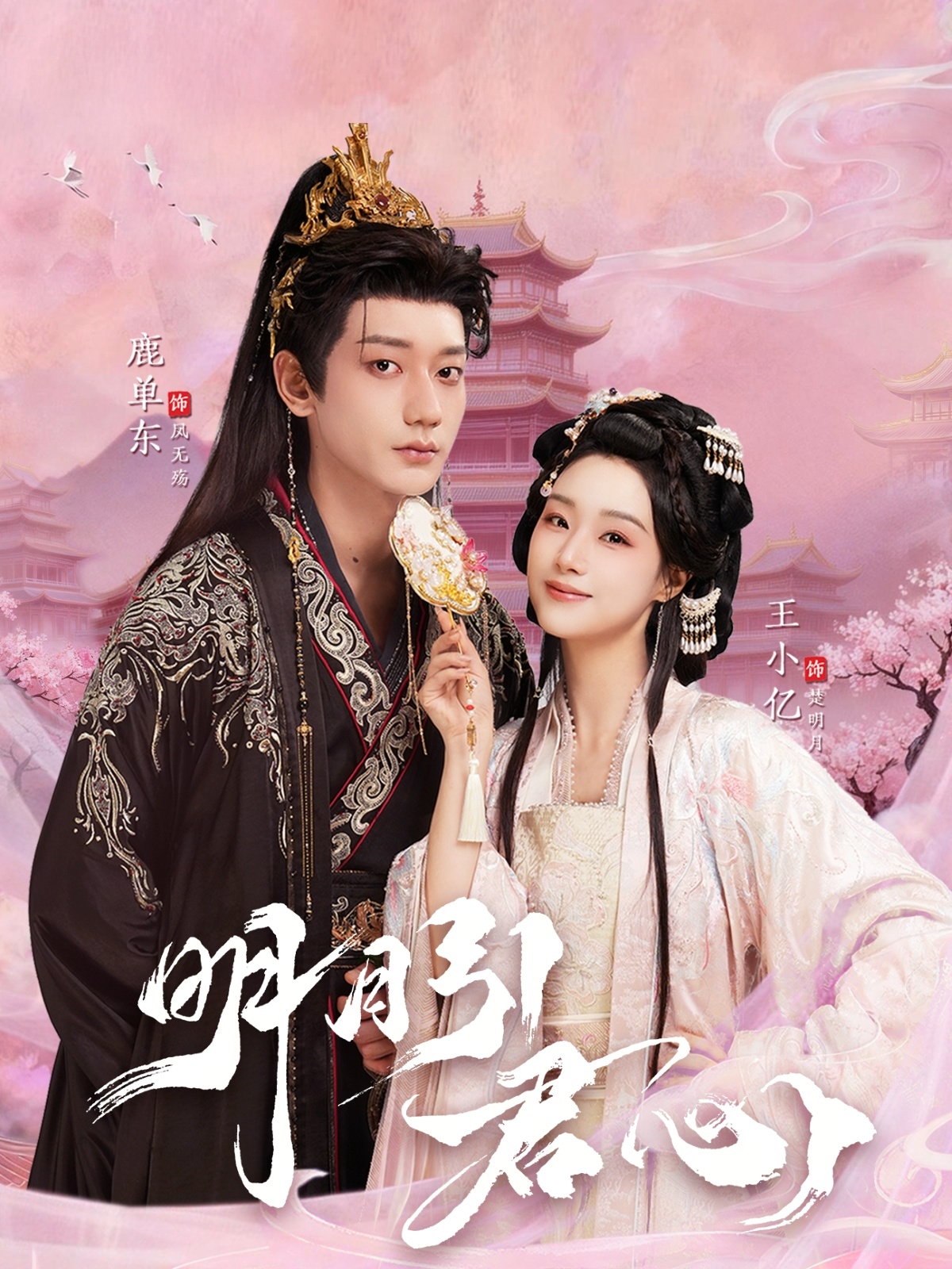 明月引君心(全集)