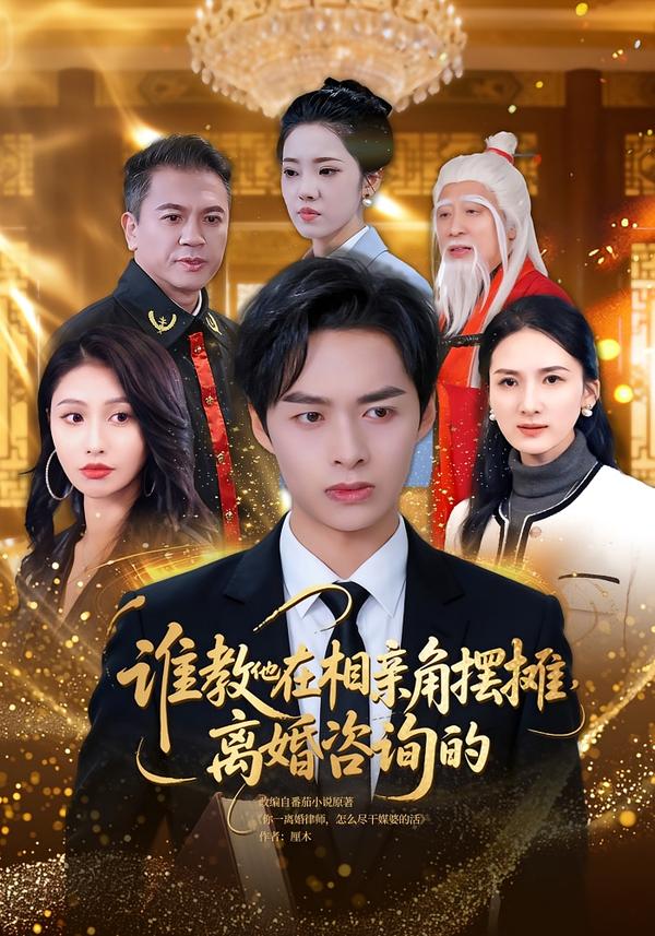 谁教他在相亲角摆摊离婚咨询的 第78集