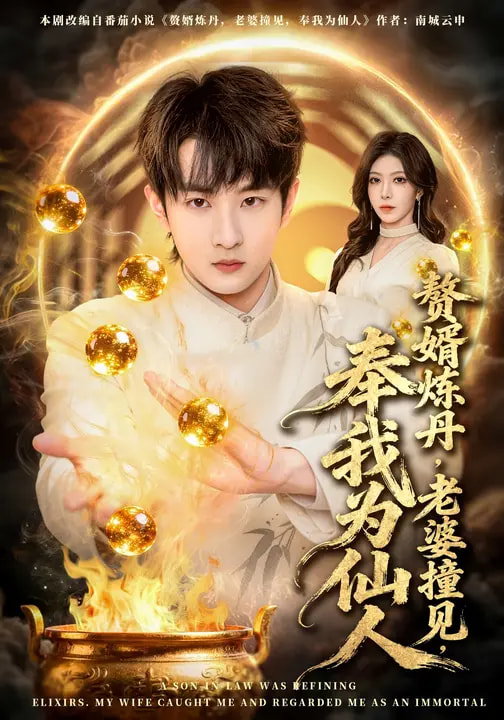 赘婿炼丹，老婆撞见，奉我为仙人 第04集